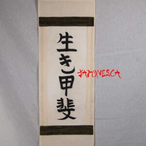 pergamino ikigai